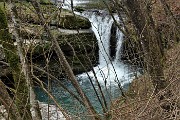 68 Un bel salto del neonato Enna